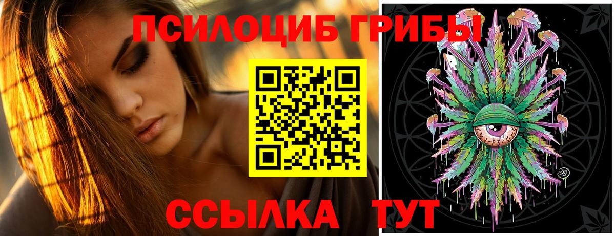 Псилоцибиновые грибы прущие грибы  Псилоцибиновые грибы Psilocybe  Вход с VPN  Энгельс 